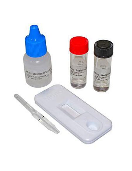 Strep A Value+ Test Strip POINT OF CARE Lab Supplies