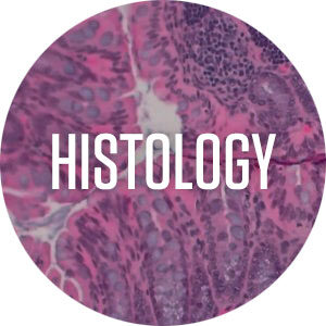 Histology Fixatives, Fixation, Formalin