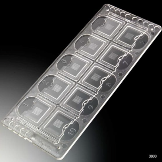 Quick-Read Urinalysis Slides