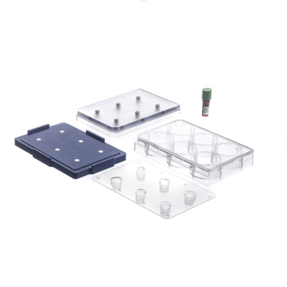 Magnetic 3D Cell Culture