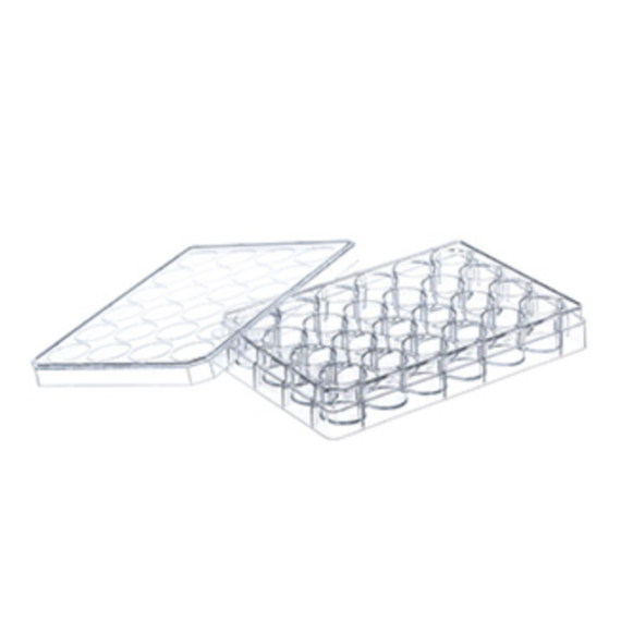 COVID-19 Cellstar® Cell Culture Multiwell Plates Lab Supplies Cellstar® Cell Culture Multiwell Plates
